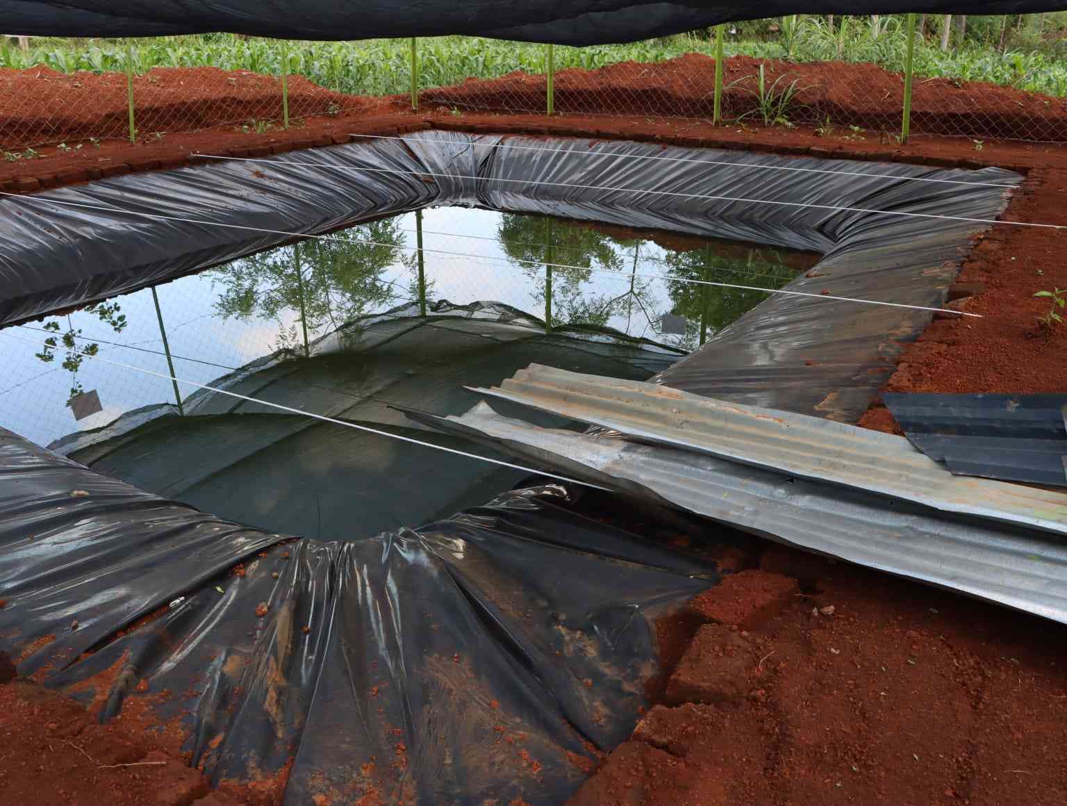 HDPE-lined farm water pan constructed by Kolman Agro Engineering in Kenya