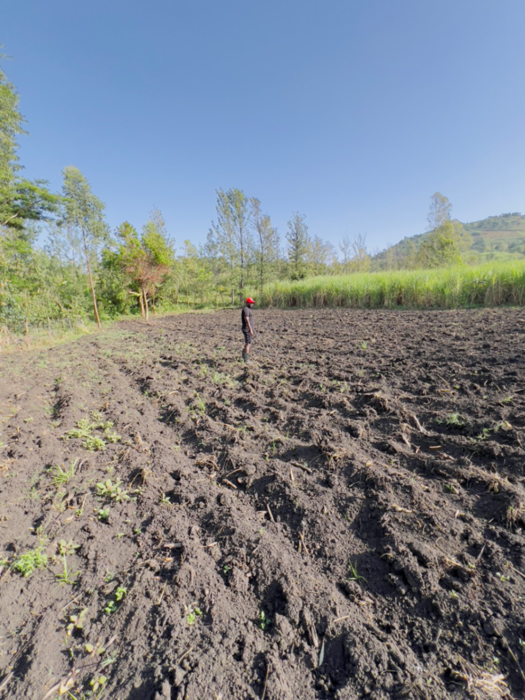 Eng. Tony Kola, Founder and CEO of Kolman Agro Engineering, standing on a freshly tilled farm in rural Kenya